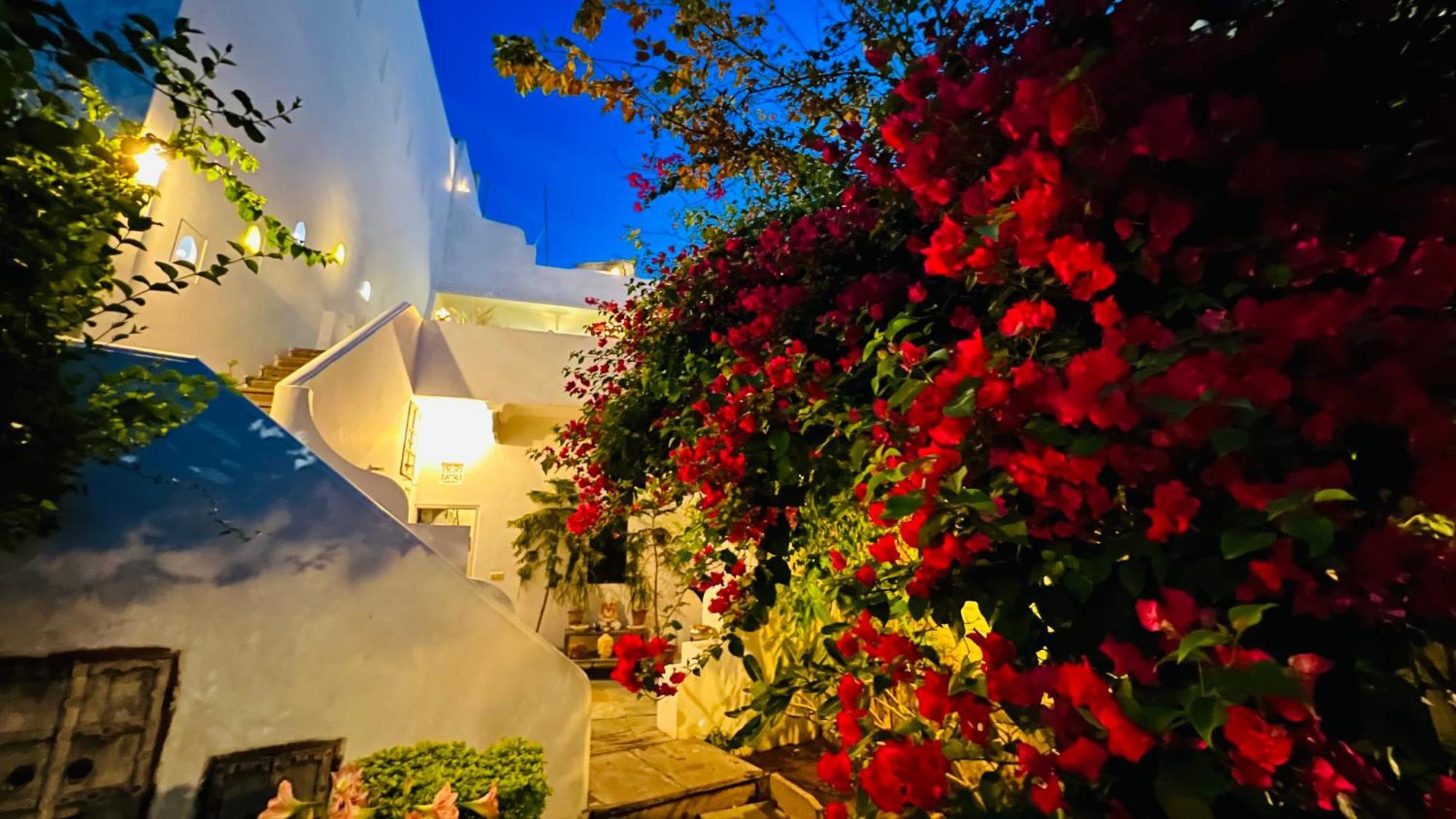 Mosaics Guest House Jaipur Exterior foto